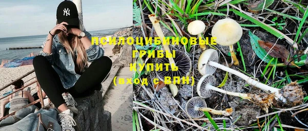 ALPHA-PVP Арсеньев
